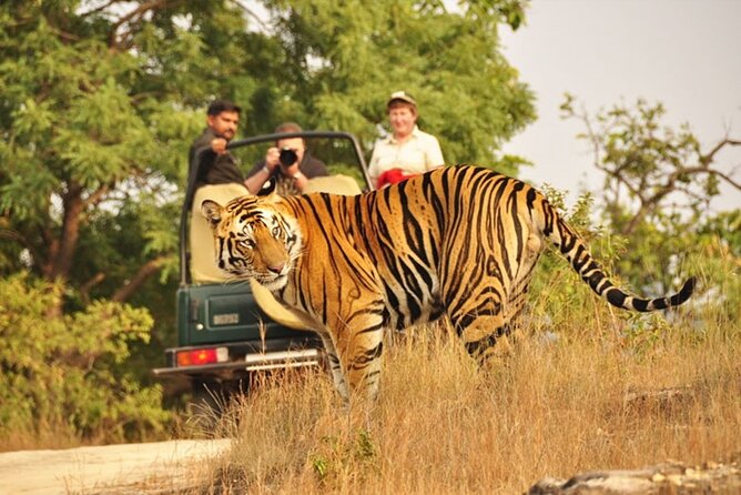 Corbett Holiday Tour with 2 Jeep 1 Canter Safari